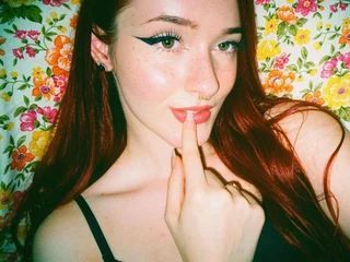 Profile preview